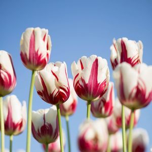 Meet your Posher, Annina